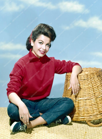 fantastic Annette Funicello portrait 8b20-13101