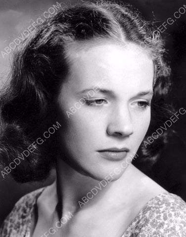 beautiful Julie Andrews portrait 8b20-13293