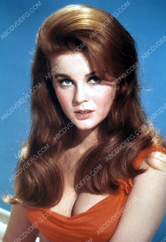 always gorgeous Ann-Margret portrait film The Swinger 8b20-13352