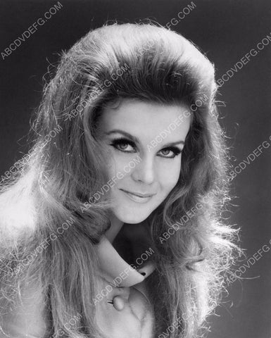 lovely Ann-Margret portrait 8b20-13369