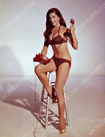 Edy Williams makes a telephone call 8b20-13653