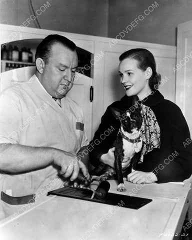 Frances Farmer gets her dog finger-printed before micro chips 8b20-13674