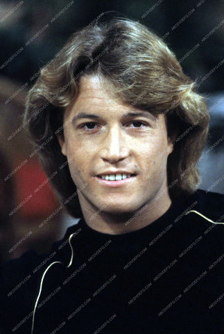 handsome Andy Gibb portrait 8b20-13704