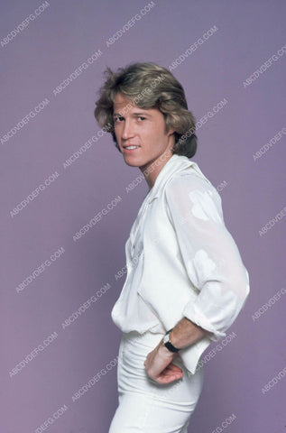 handsome Andy Gibb portrait 8b20-13722