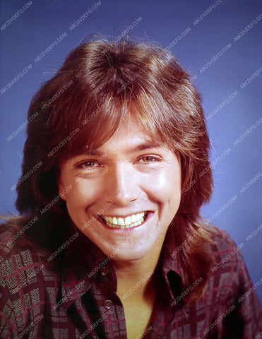 handsome David Cassidy portrait 8b20-13857