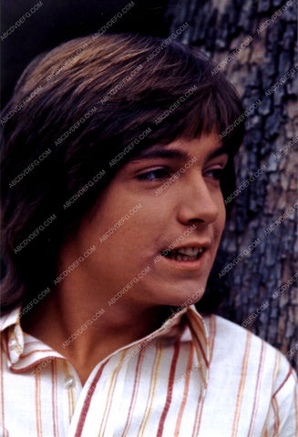 David Cassidy outdoors pic 8b20-13858