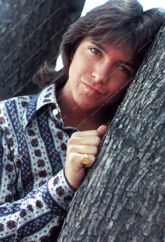 David Cassidy portrait in nature 8b20-13863