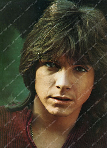 cool David Cassidy portrait 8b20-13864