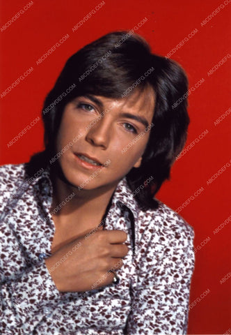 David Cassidy portrait 8b20-13866
