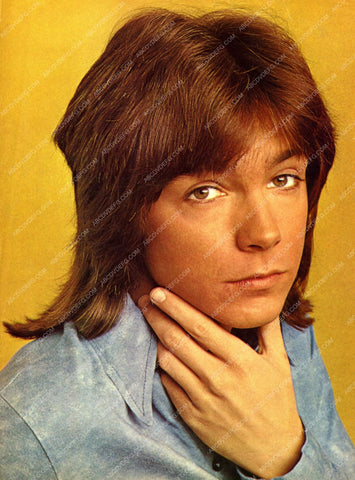 cool David Cassidy pic 8b20-13876
