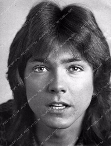 David Cassidy portrait 8b20-13881