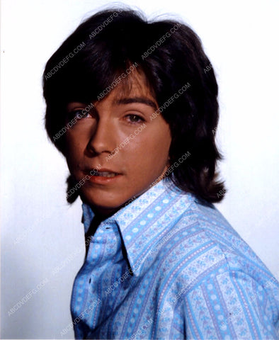 David Cassidy portrait 8b20-13882