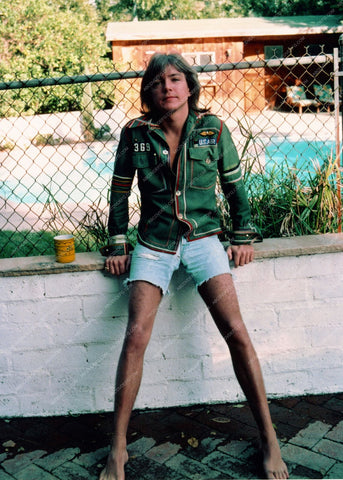 David Cassidy out by the swimming pool 8b20-13894