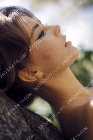 gorgeous Natalie Wood pic 8b20-1390
