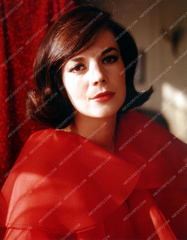 beautiful Natalie Wood portrait 8b20-1391
