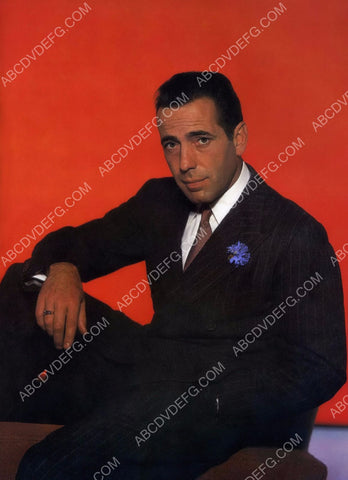 joe cool Humphrey Bogart portrait 8b20-14001