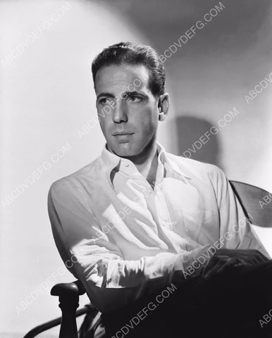handsome Humphrey Bogart portrait 8b20-14003