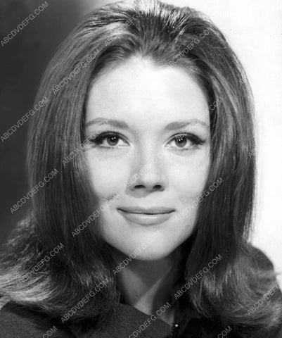 Diana Rigg portrait 8b20-14049