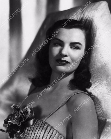 beautiful Ella Raines portrait 8b20-14499