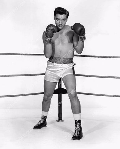 Elvis Presley in boxing gloves and trunks 8b20-14545