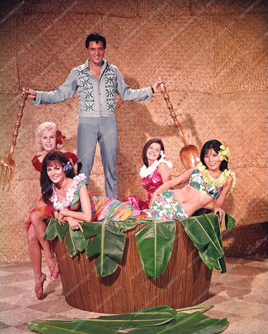 cool Elvis Presley and a salad bowl full of babes 8b20-14568