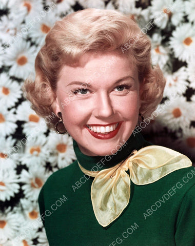 fantastic Doris Day portrait 8b20-14630