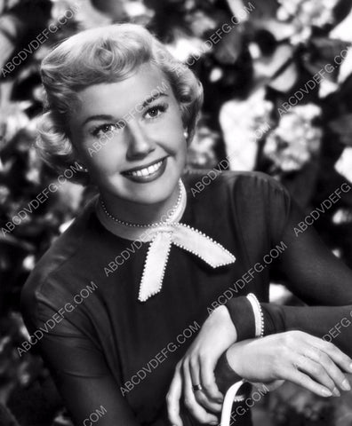 lovely Doris Day portrait 8b20-14641