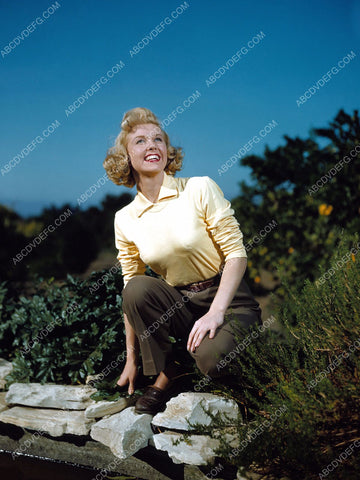 beautiful Doris Day outdoors portrait 8b20-14658