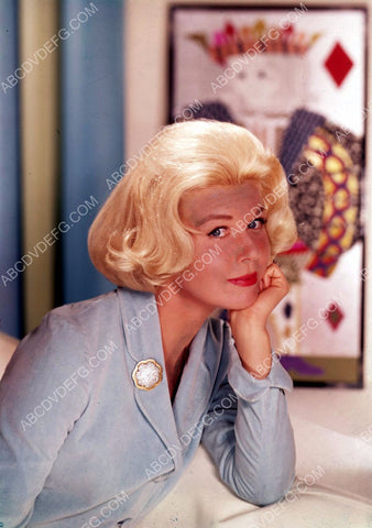 beautiful Doris Day portrait 8b20-14661