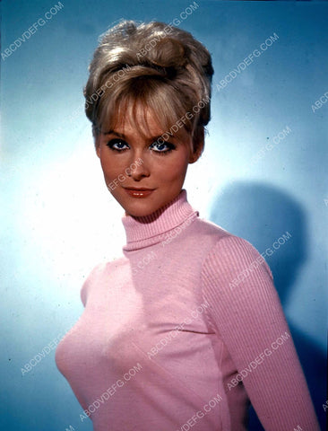 sexy sweater girl Diane McBain portrait 8b20-14676