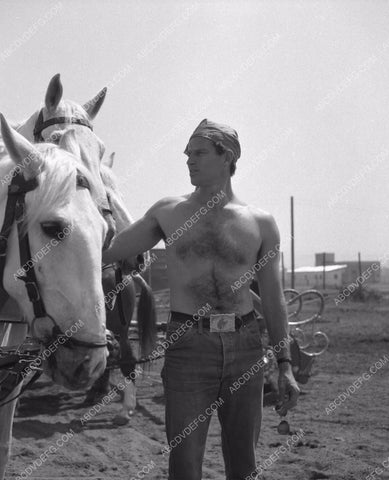 shirtless Charlton Heston hangs with the horses film Ben-Hur 8b20-14986