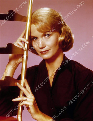 lovely Eva Marie Saint portrait 8b20-15083