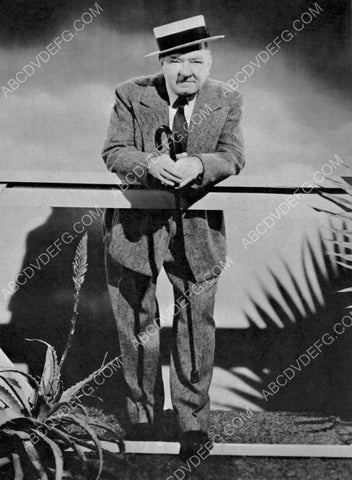 W.C. Fields portrait 8b20-16046