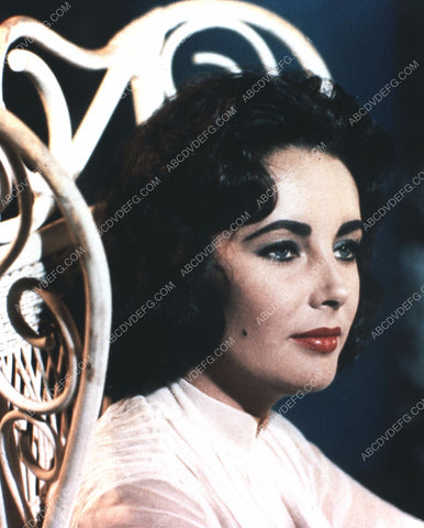 Elizabeth Taylor portrait 8b20-16315