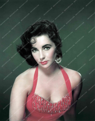 gorgeous Elizabeth Taylor portrait 8b20-16324