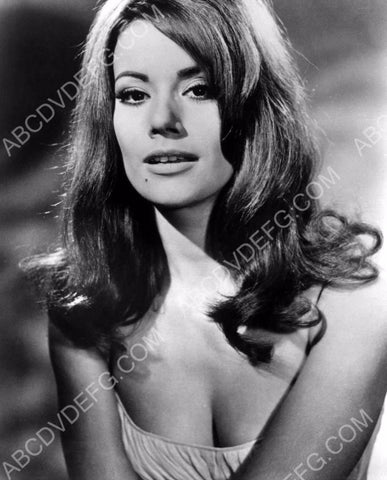Luciana Paluzzi portrait 8b20-16744