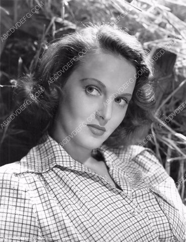 beautiful Lucille Bremer portrait 8b20-16746