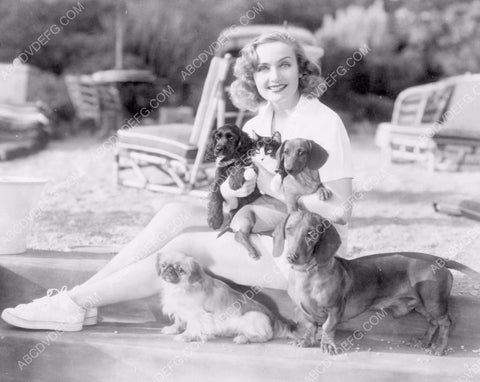 beautiful Carole Lombard out in the sun with her dogs 8b20-16786