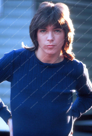David Cassidy in his blue sweater 8b20-16849