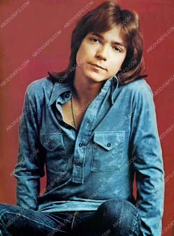 David Cassidy portrait 8b20-16857