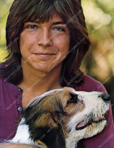 David Cassidy and his dog 8b20-16859