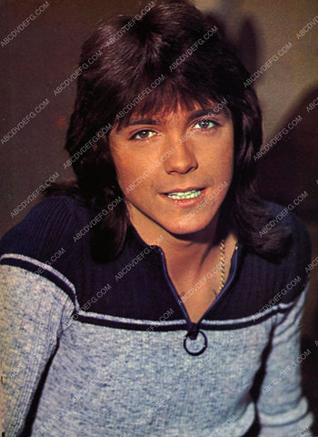 David Cassidy portrait 8b20-16861