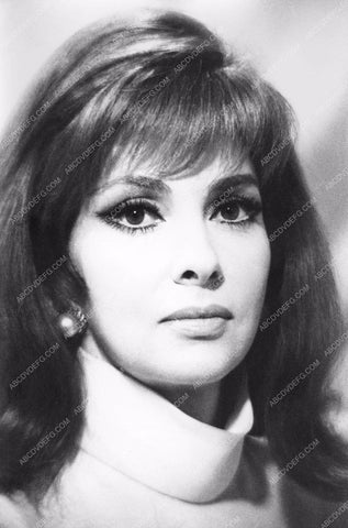 Gina Lollobrigida portrait 8b20-16927