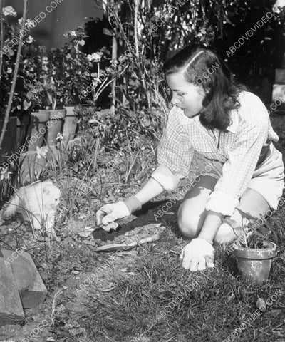 candid Ella Raines does some gardening and plays w the cat 8b20-16977