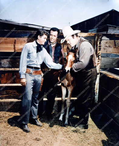 Dan Blocker Michael Landon Pernell Roberts TV Bonanza 8b20-17050