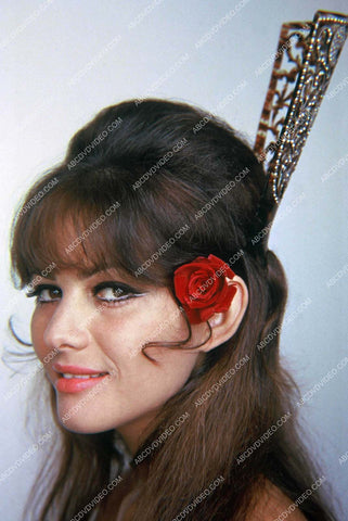 Claudia Cardinale w a rose in her hair 8b20-17143