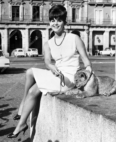 Claudia Cardinale w a baby lion cub 8b20-17168