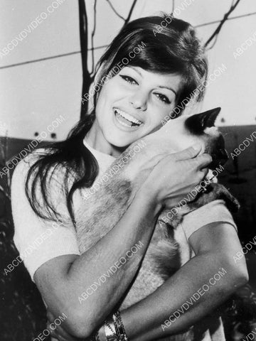 Claudia Cardinale w her siamese cat 8b20-17181