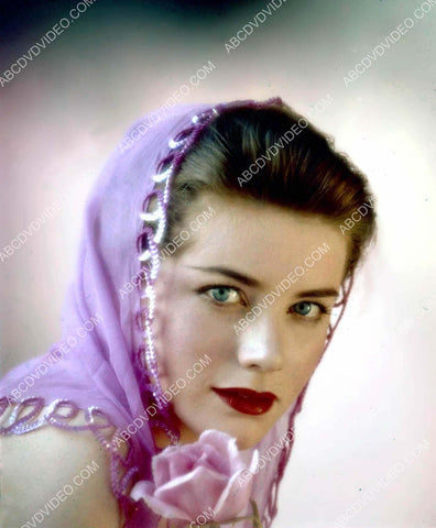 Dolores Hart portrait 8b20-17272