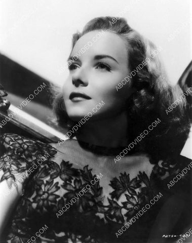 beautiful Diana Lynn portrait 8b20-17282